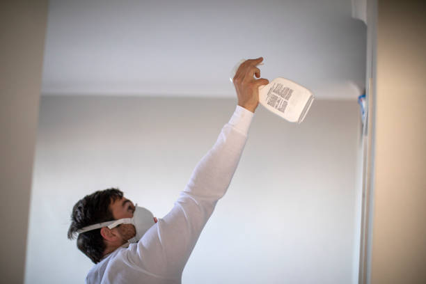 Best Affordable Mold Removal  in Fullerton, PA