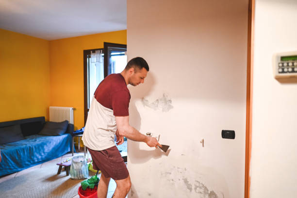 Fullerton, PA Mold Removal Company